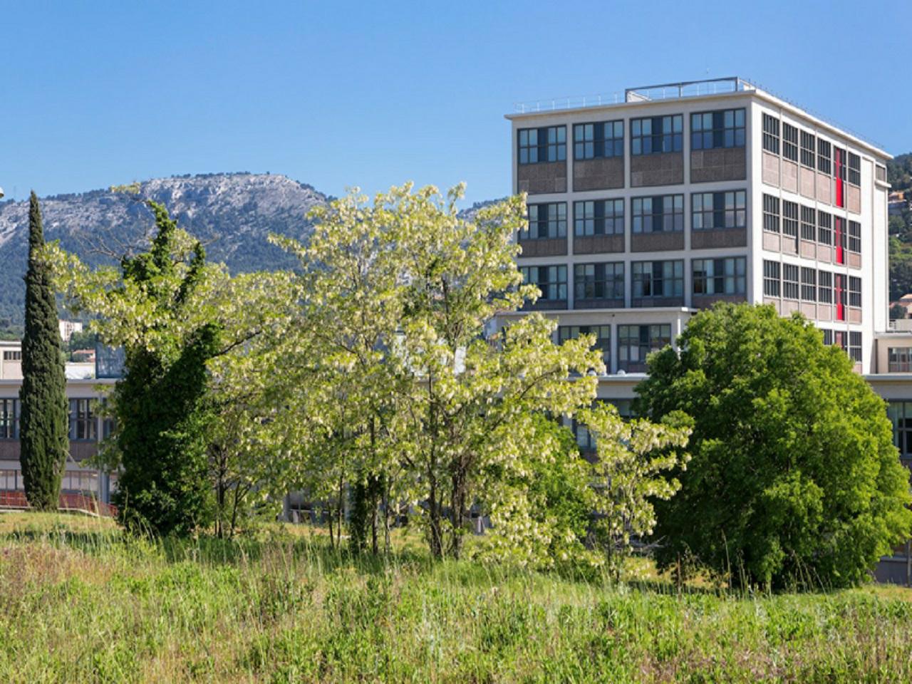 Bureau Marseille 1555m² Location bureau Marseille Bouches-du-Rhône OLBUR2115195 0